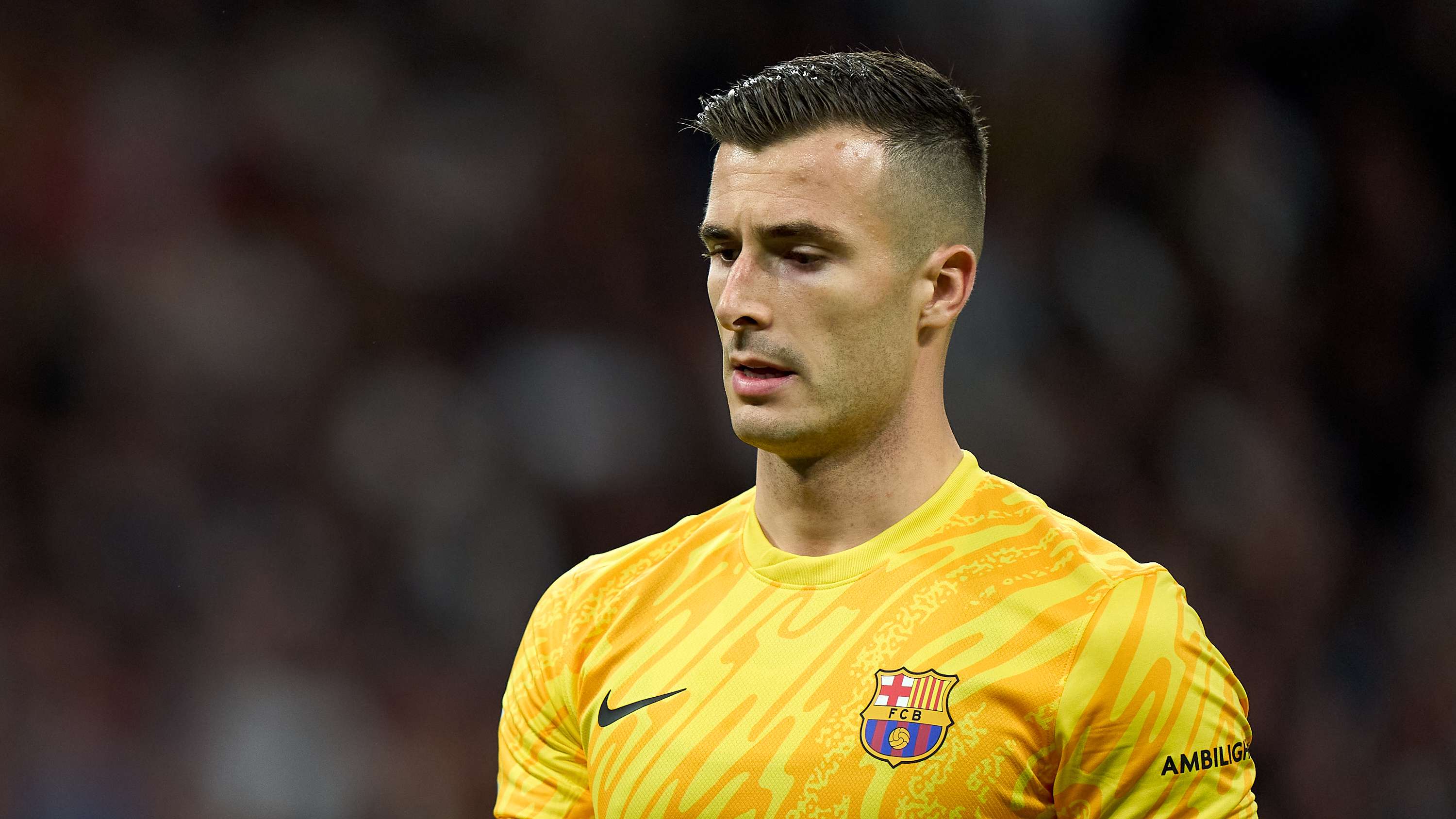 引入年轻血 引入年轻血